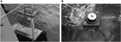 Measurement of backscattering strength of artificial bubbles in the Southern Sea of the Korean Peninsula